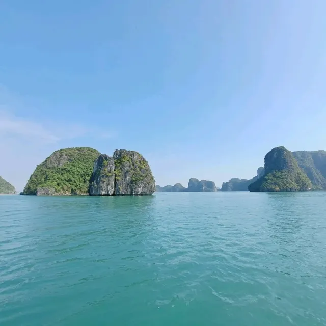 下龍灣🇻🇳🏞念念不忘的海上貴林
