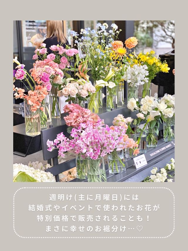 【渋谷】わんこと行けるおしゃれテラス☕️