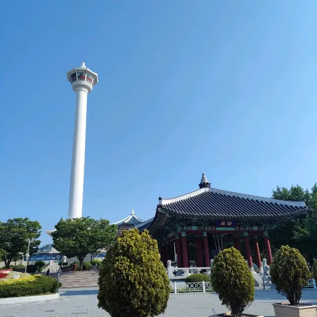 搭手扶梯清鬆至龍頭山公園釜山塔，眺望市區建築和港口的絕色景點並觀賞煙花秀