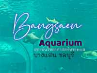 Bangsaen Aquarium 