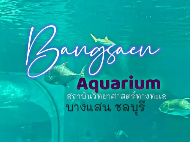 Bangsaen Aquarium 