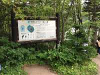 北海道　北海道観光　利尻島で絶対に外せない観光スポット　姫沼に行ってきた！