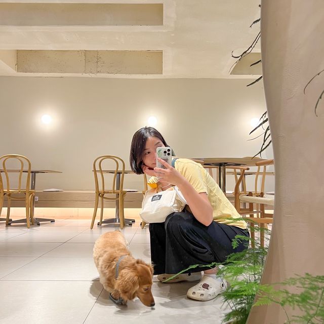 파주 애견동반 가능한 카페🐶 느린여름✨