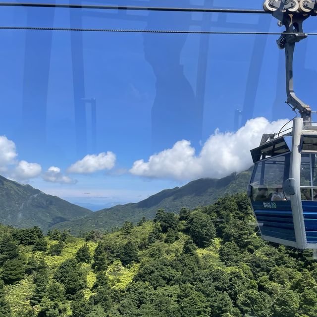 ขึ้นกระเช้า Ngong Ping 360 ไหว้พระใหญ่ที่ฮ่องกง