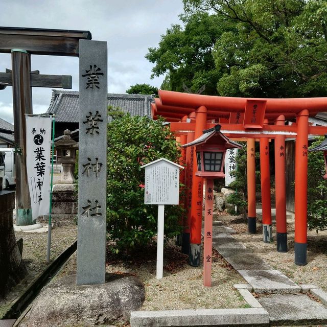 愛知旅行　業葉神社！（なりはじんじゃ）