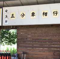 來臺南後壁區「烏樹林」，體驗世界上最慢的火車