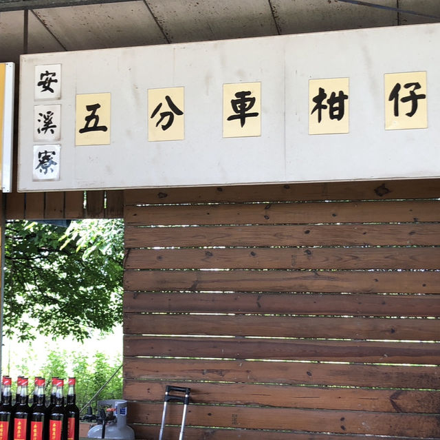 來臺南後壁區「烏樹林」，體驗世界上最慢的火車