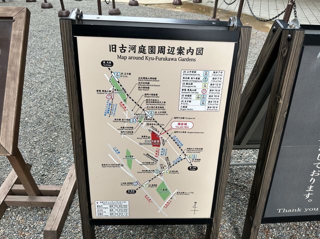 東京・北区。バラの季節には多くの品種の花が咲き誇るそうです『旧古河庭園』