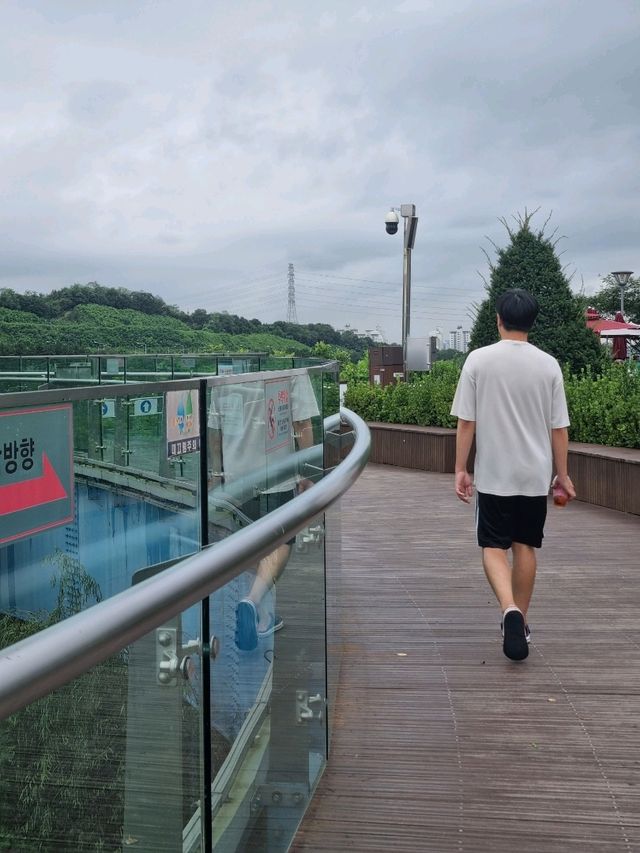 공중에 떠있는 아라전망대