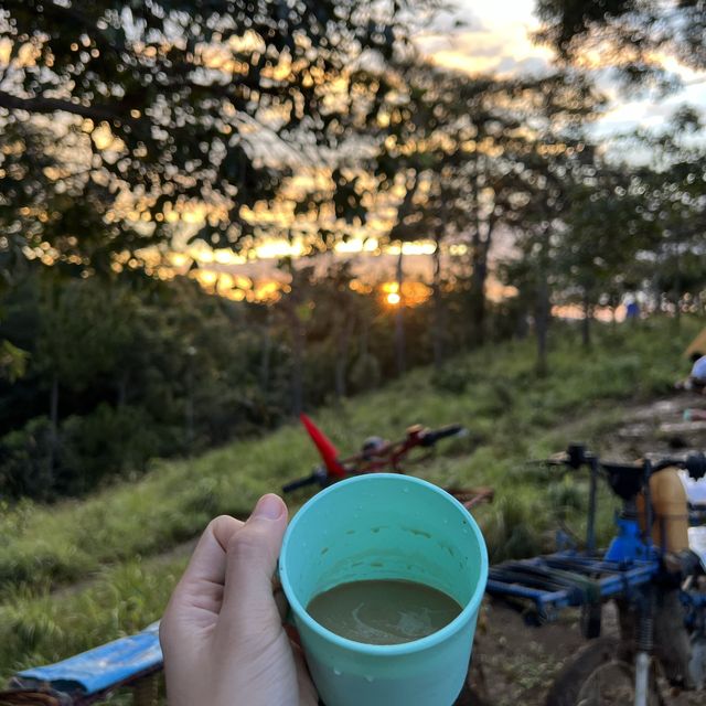 Taking in nature's splendours🧚‍♀️🤩
