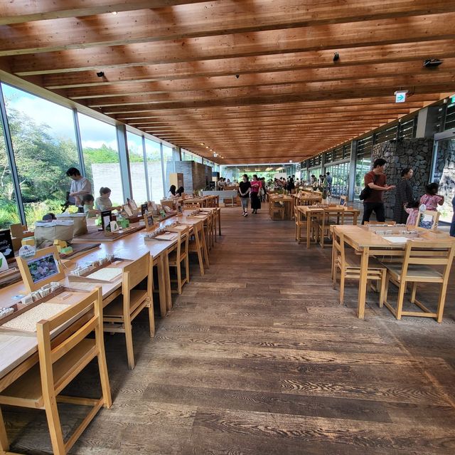 24h in Jeju - Innisfree Jeju House