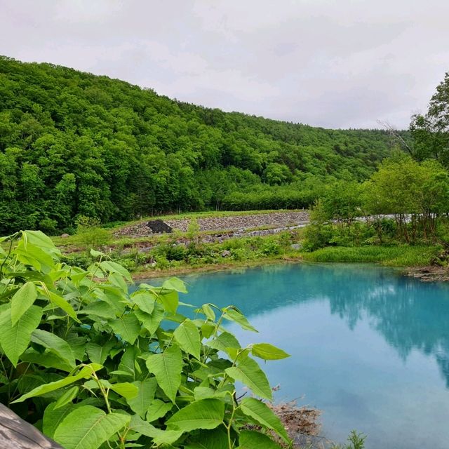 A beautiful blue Pond 