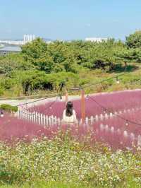 꽃잔치 가득 열린 청주 카페 아르떼 물들이다🌸
