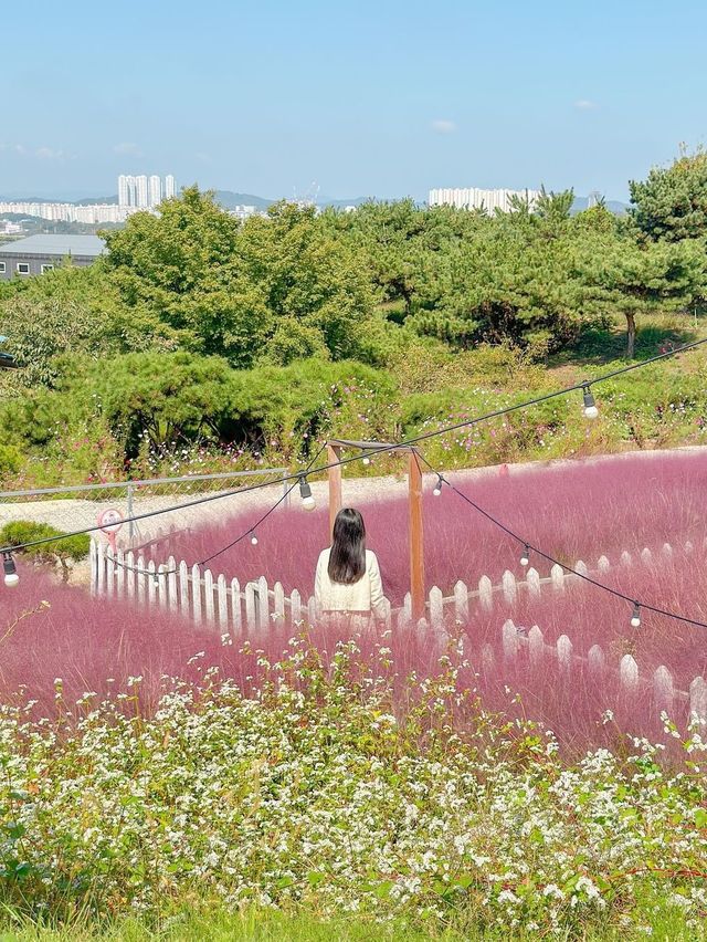 꽃잔치 가득 열린 청주 카페 아르떼 물들이다🌸