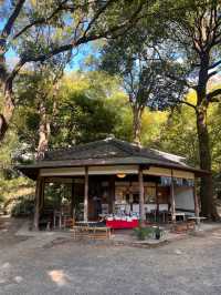 東京【駒込】六義園