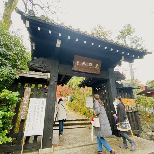 嵐山秋色最美，常寂光寺最動人
