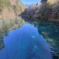 秋遊仙境九寨溝：熊貓海