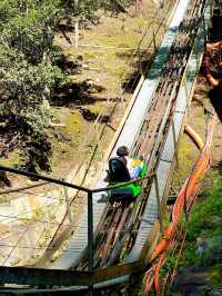 Trying The Longest Alpine Coaster In Asia🇻🇳