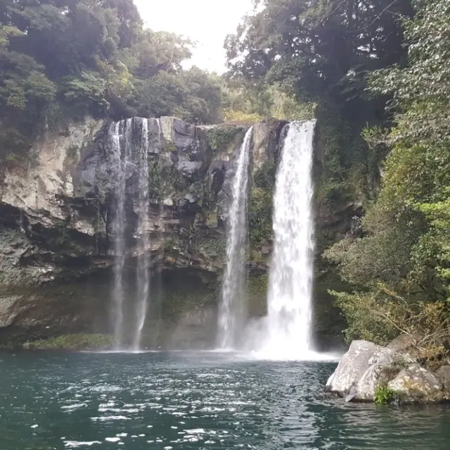 A quince park at Jeju, Cheonjiyeon Falls