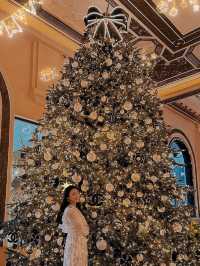香港｜今年的聖誕樹太美啦🎄💗
