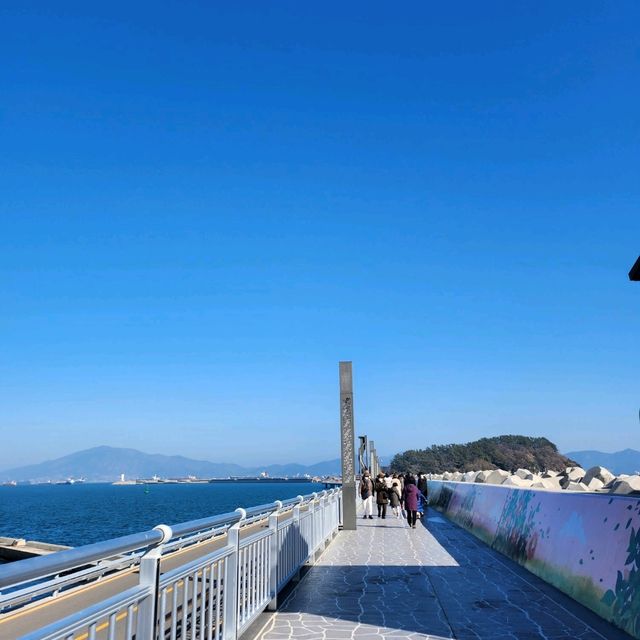 동백꽃 가득한 오동도 여행