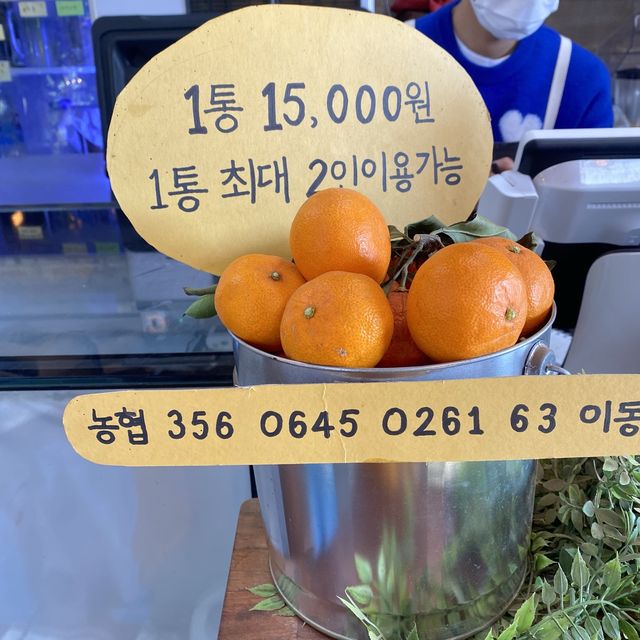 동물 먹이주기&감귤 따기 체험까지 할 수 있는 “어린왕자감귤밭”카페!