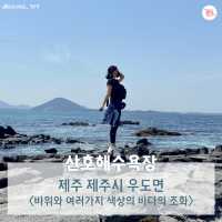 여행카드뉴스로 보는 뚜벅이 제주도 2박 3일 코스