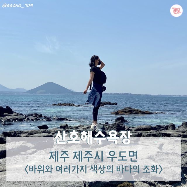 여행카드뉴스로 보는 뚜벅이 제주도 2박 3일 코스