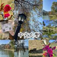 賞花季必到之中文大學‼️超令湖景