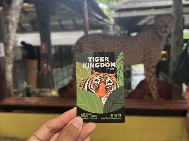 Tiger kingdom phuket 