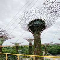 濱海灣花園(Gardens by the Bay)奇幻阿凡達之旅！