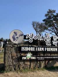 제주 말과 양을 한번에 볼 수 있는 사진 명소 성이시돌 목장 테쉬폰🛖 [제주_성이시돌목장]