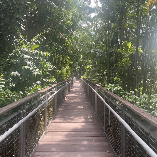 Imbiah Bridge in Sentosa