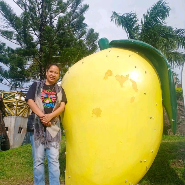 Guimaras Island Philippines