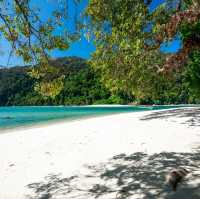 เกาะสุรินทร์ จ.พังงา ทะเลใส ใต้น้ำสวย