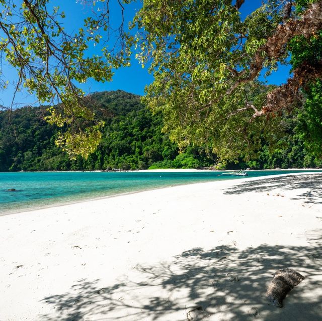 เกาะสุรินทร์ จ.พังงา ทะเลใส ใต้น้ำสวย