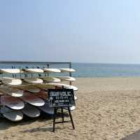 서퍼들이 좋아하는 파도가 몰려온다! 강릉해수욕장🏖️