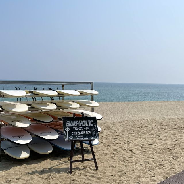 서퍼들이 좋아하는 파도가 몰려온다! 강릉해수욕장🏖️