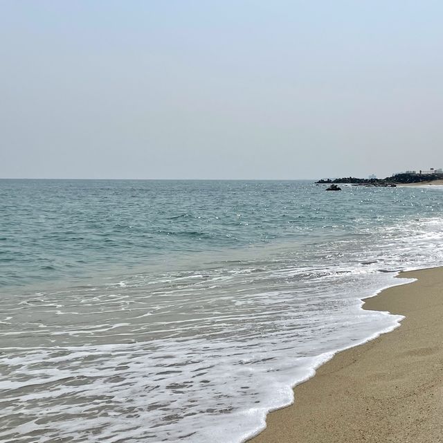 서퍼들이 좋아하는 파도가 몰려온다! 강릉해수욕장🏖️