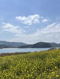 유채꽃이 만개한 수성당에서 힐링 가득 하루 보내기🌼