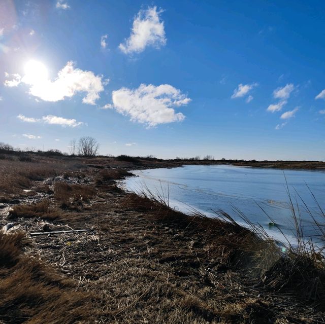 Icy Oasis: Winter's Hold on Sandy Hook's Pond