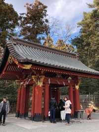 鎌倉鶴岡八幡宮😬鎌倉必訪歷史景點☺️超令市區景色🤣東京近郊推薦