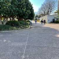 【神奈川】横浜✨港の見える丘公園と展望台