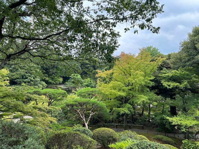 東京・北区。バラの季節には多くの品種の花が咲き誇るそうです『旧古河庭園』