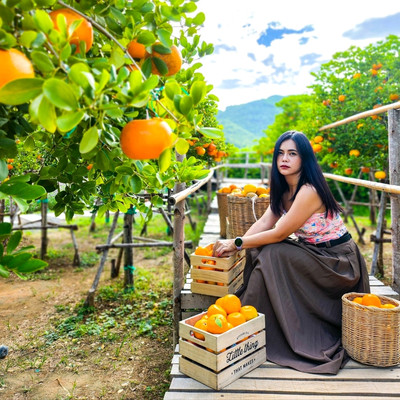 Kanchanaburi has an orange garden 😍🍊🍊🍊 | Trip.com Tha Muang