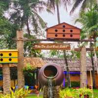 Indulge in The Natural Scenery of Binh Quoi!