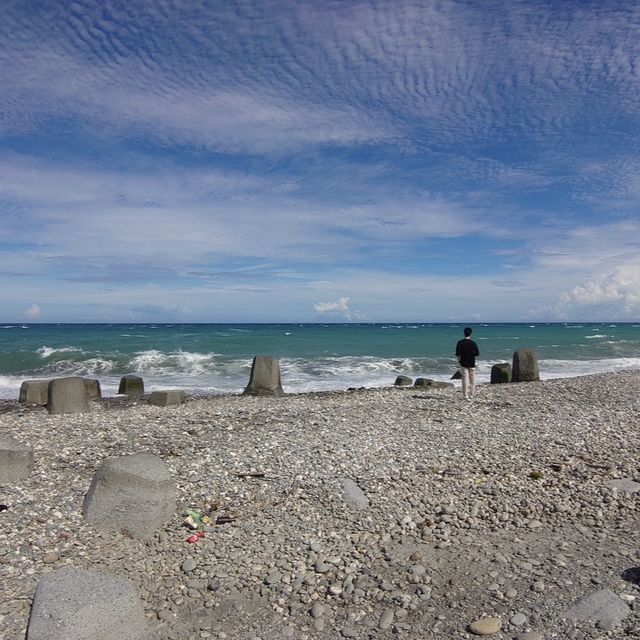 台東 海濱公園 (巨大鳥巢地標)