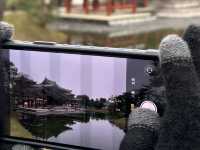 🏯 宇治平等院：日本文化遺產的瑰寶！🍵⛩️