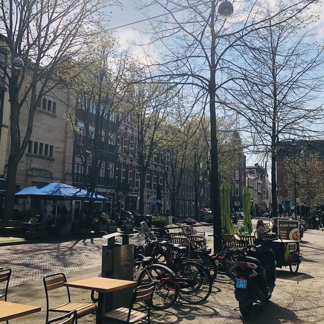 🇳🇱荷蘭海牙🌳🦆🐦The Hague (Den Haag)🌤️城市風光景色優美