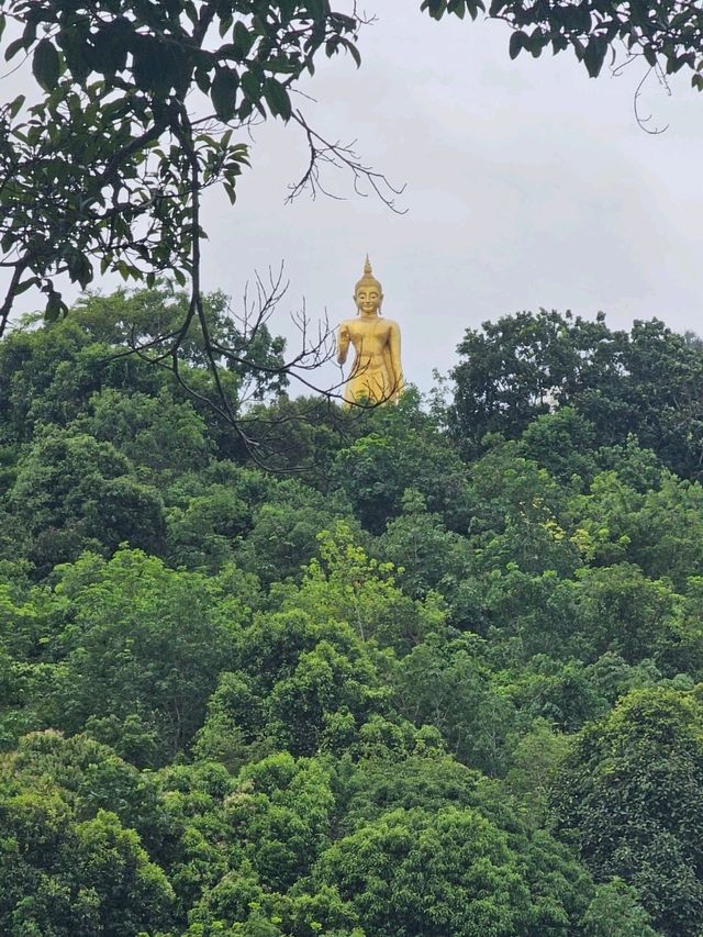 ณ เขาคอหงส์